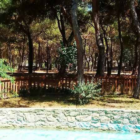 Athens 140 Daire Dış mekan fotoğraf