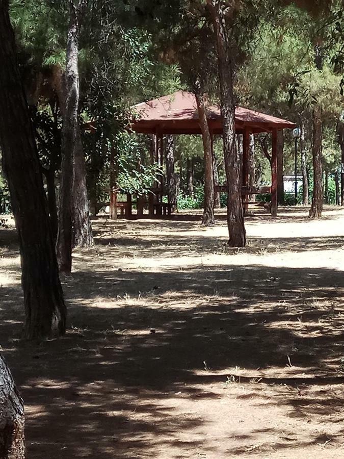 Athens 140 Daire Dış mekan fotoğraf